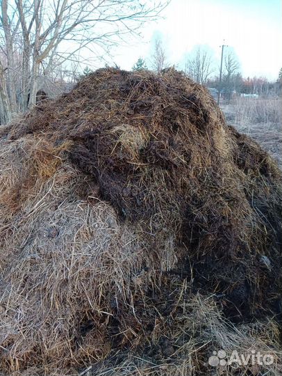 Навоз коровий