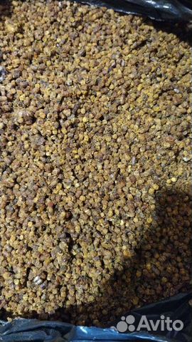 Живая перга