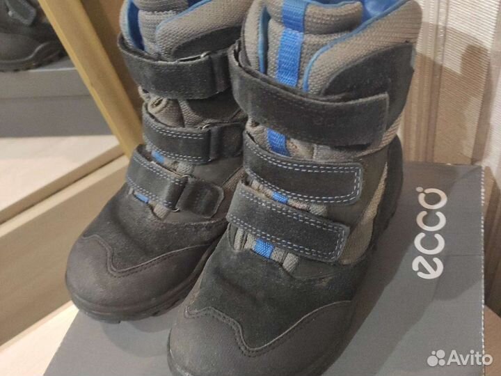 Зимние сапоги Ecco