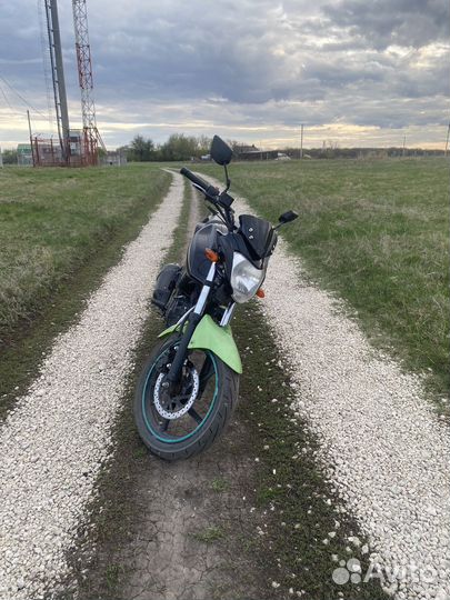 Рейсер нитро 250