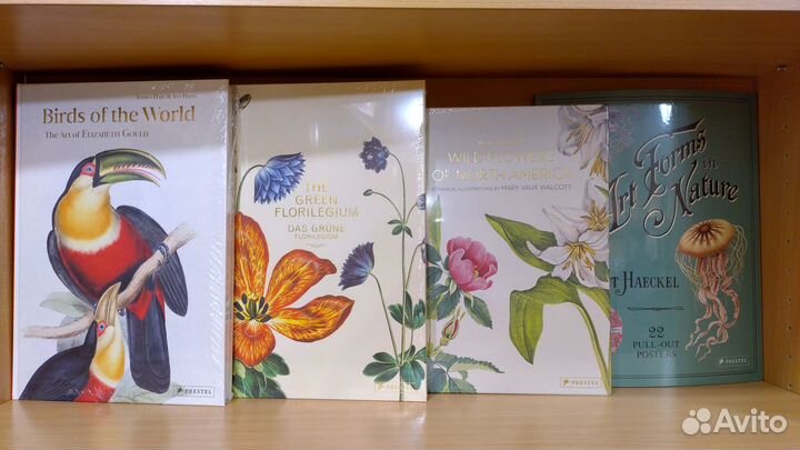 Книги Ботаническая иллюстрация. Птицы, цветы, фрук