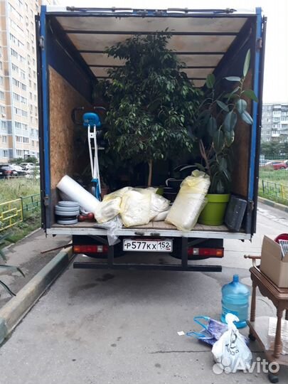 Грузоперевозки межгород газель фура переезды