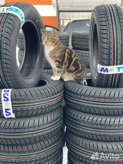 Viatti Strada Asimmetrico V-130 195/65 R15 91H