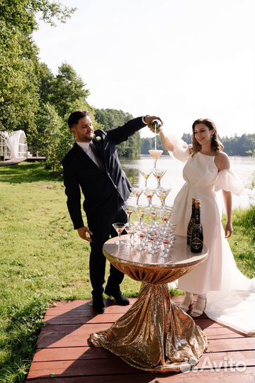 Ведуща и Диджей на свадьбу