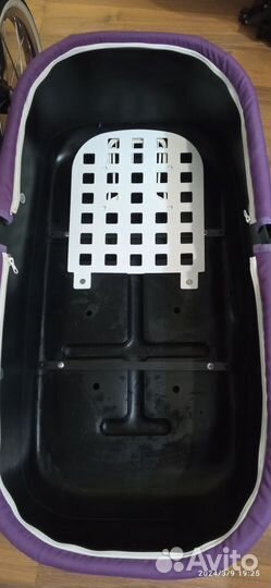 Коляска 2 в 1 adamex