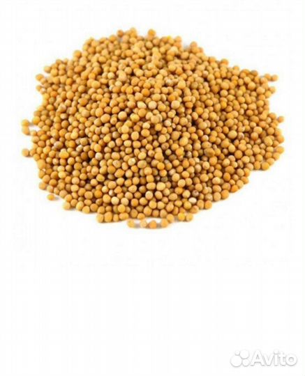 Горчица сидераты от 20 кг