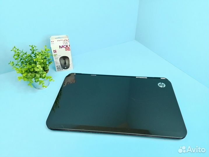 HP для работы и удаленки на i5 и ссд