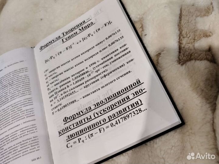 Б.А. Астафьев 