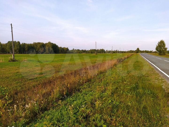 Участок 140 га (СНТ, ДНП)