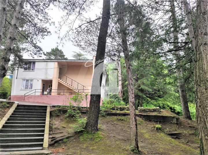 Детский Центр на Черном море