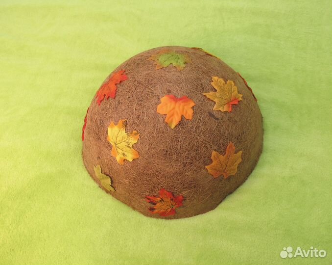 Шляпка гриба. Боровик, подберезовик, моховик