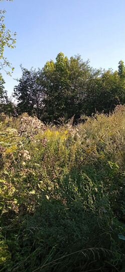 Дом 100 м² на участке 16 сот.