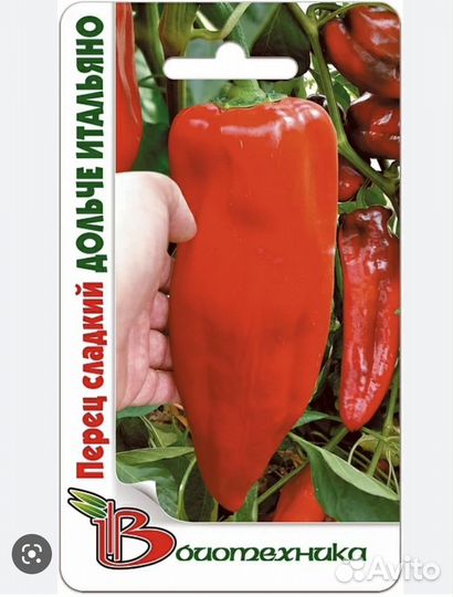 Рассада перца сладкого