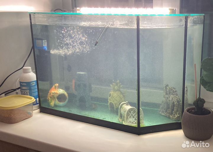 Аквариум
