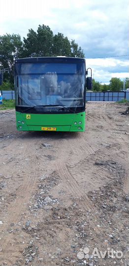 Городской автобус МАЗ 203069, 2010