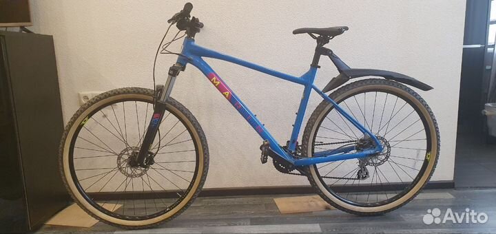 Marin Bobcat Trial 3