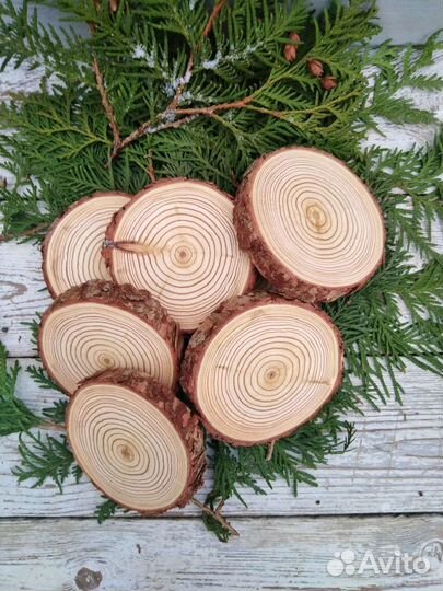 Торцевые спилы деревьев