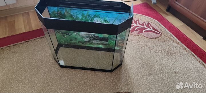 Аквариум