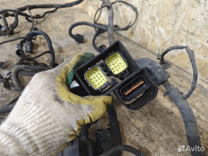 Проводка двигателя Kia Sorento 1