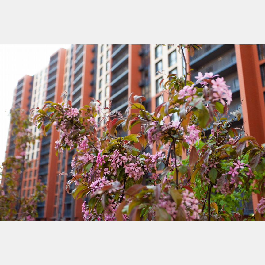 2-к. квартира, 55 м², 17/18 эт.