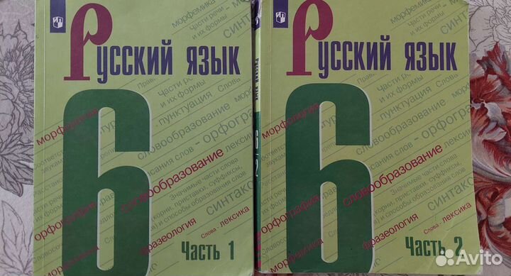 Русский язык 6 класс Ладыженская