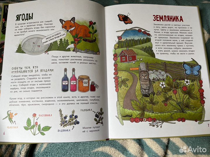 Эмма Янссон Грибы и ягоды