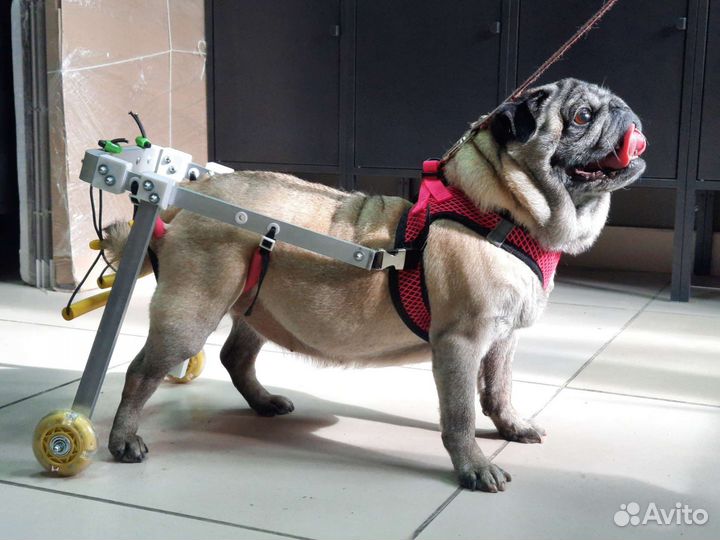 Инвалидная коляска, протез, для собак и кошек