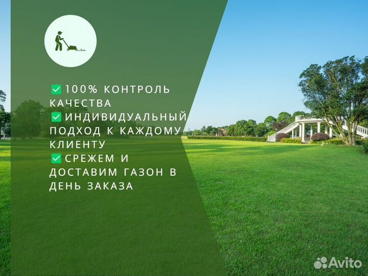 Рулонный газон стандартный