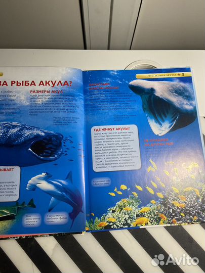 Детская энциклопедия 