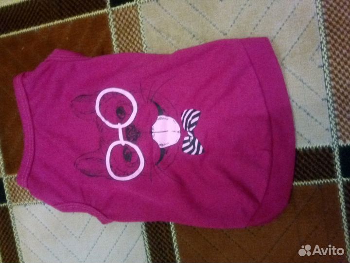 Одежда для животных