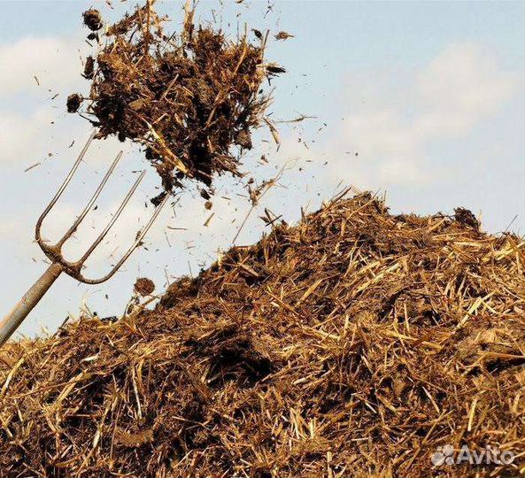 Навоз бесплатно