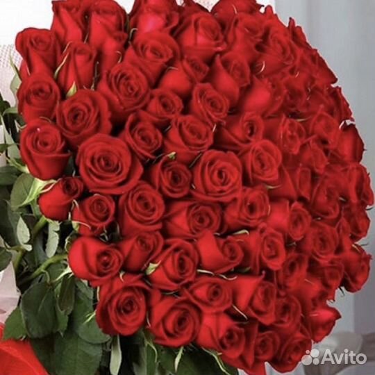 Розы Цветы Букеты Доставка