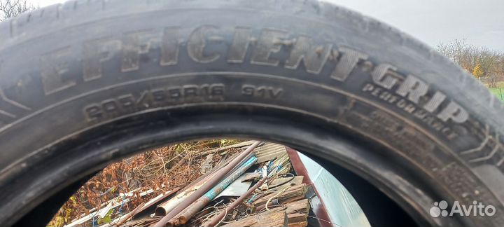 Goodyear EfficientGrip Performance 205/55 R16 91V