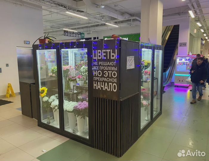 Холодильная Камера Для Цветов / Цветочная Камера