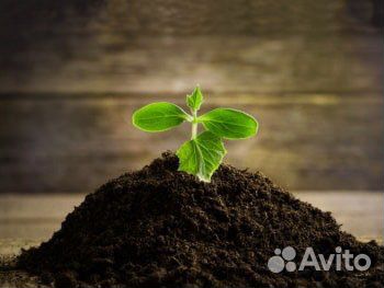Плодородный грунт