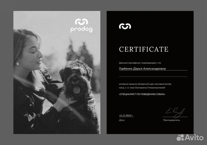 Услуги кинолога