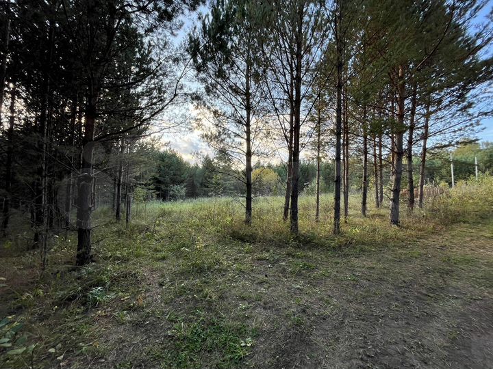 Участок 11,5 сот. (СНТ, ДНП)