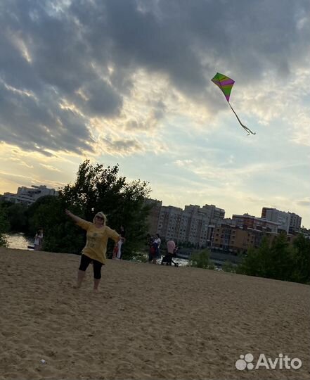 Воздушный змей