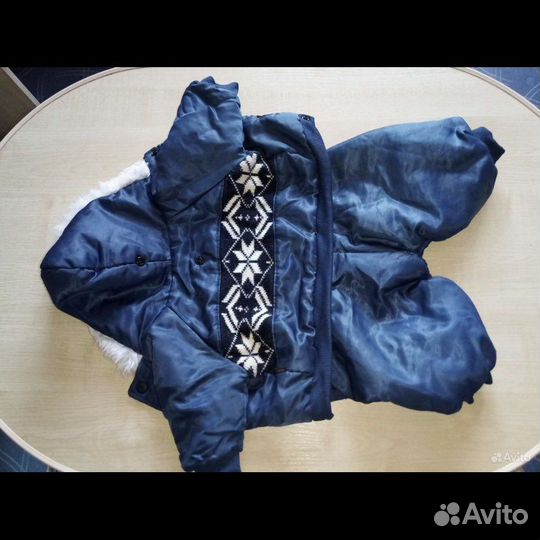 Куртка для собаки + комбинезон