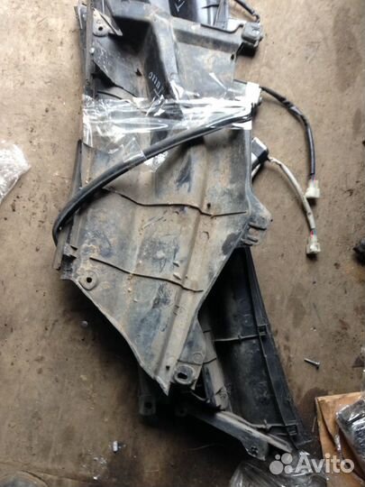 Жабо чери тигго