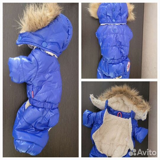 Одежда для йорков или маленьких собак