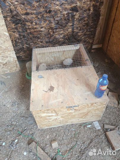 Клетка, брудер