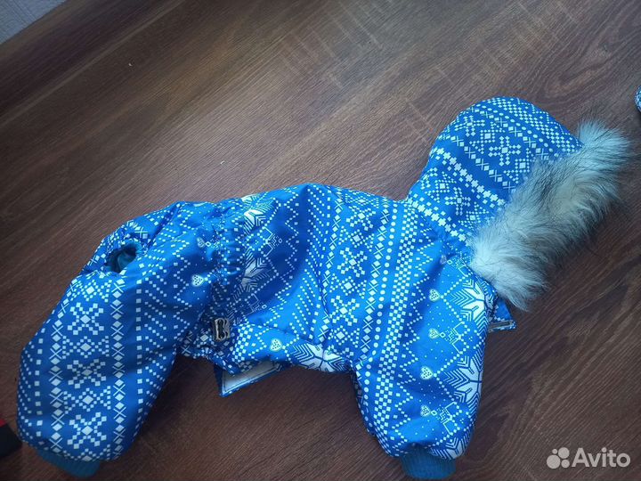 Комбинезон для маленькой собаки