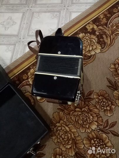 Баян Беларусь