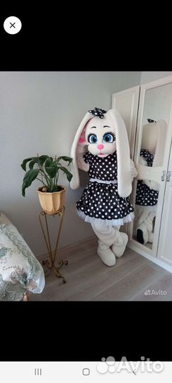 Экспресс поздравление