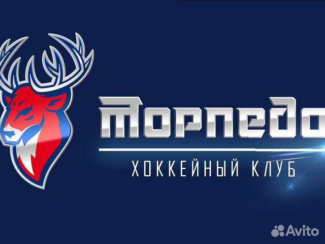 Торпедо хоккейный клуб нижний новгород таблица запад