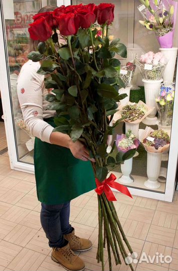Высокие розы Гигантские Розы 150 160 170 180 190см