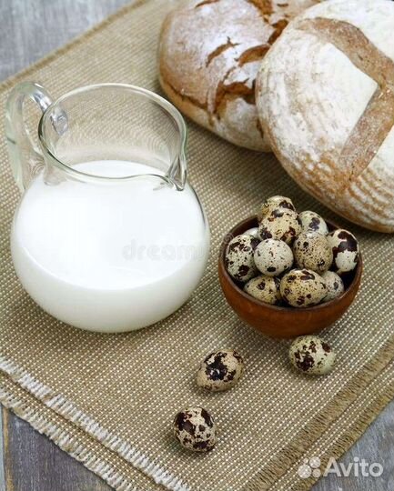 Мясо, яйцо перепелиное, козье молоко, перепелята