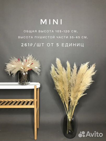 Пампасная трава/Сухоцветы