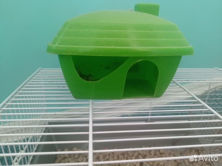 Клетка для грызунов